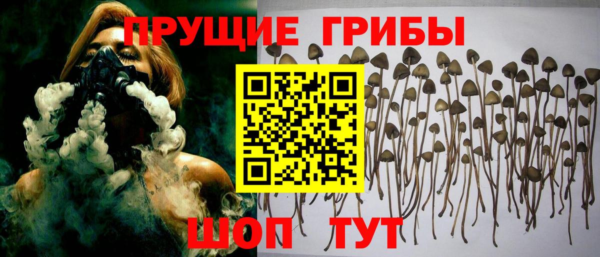Галлюциногенные грибы ЛСД  Вход с VPN  Серов 